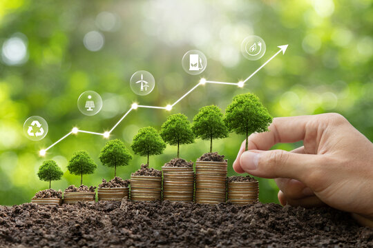 Green business growth. Finance sustainable development. Fund services and sustainable investment. Hand human holding  tree growing on money coin stack and digital growth graph with icons. ESG Fund.