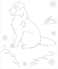 Australian dog colouring book page for children 