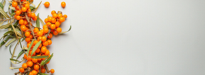 Sea buckthorn branches with leaves and ripe berries top view on light grey simple background. Space...