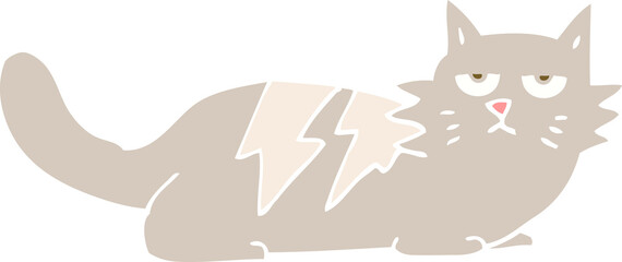 flat color illustration of cat