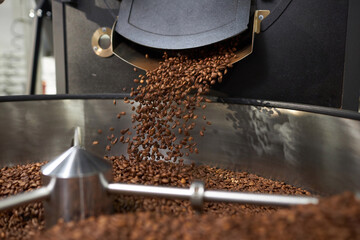 Closeup background of fresh coffee beans spilling from industrial coffee roaster, copy space