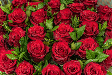 bouquet of red roses best gift 14 february valentines day