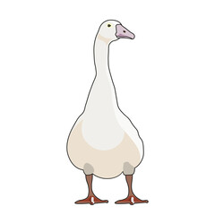 A goose as a digital illustration on a transparent background