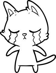 Obraz premium crying cartoon cat