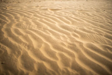 Sand texture in the Sam desert in Rajasthan, India