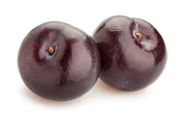 plum path isolated on white