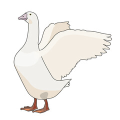 A goose as a digital illustration on a transparent background