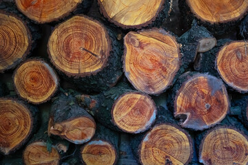 Blurred image of chopped alder logs.