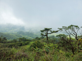 Obraz na płótnie Canvas Cascada Jordanal en montañas de Panamá 