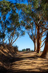 Views of the Polo fields, mountains, coastal beach views, and eucalyptus trees in Will Rogers State Historic Park in the Pacific Palisades - obrazy, fototapety, plakaty