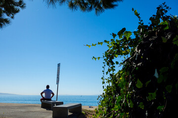 Man on Bench at Will Rogers State Beach - obrazy, fototapety, plakaty