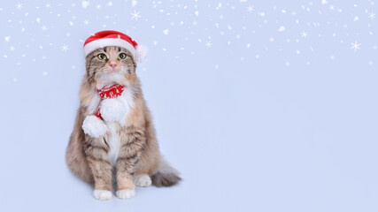 Cat in Christmas hat on a white background. Beautiful Cat in Santa Claus xmas red hat. Cat with Santa hat waiting for Christmas while sitting on a light background. Happy New Year. Snowflakes. Snow