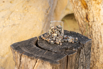 An overflowing cup full of fired bullets that were found in the desert