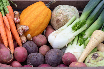 Winter vegetables in wooden harvest box 