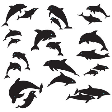 Dolphins graphic icons set, Signs swimming dolphins isolated on white background, Vector art illustration.