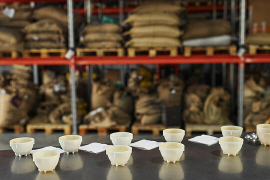Background image of several bowls on table in coffee production workshop ready for tasting and cupping procedure, copy space