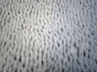 Geriffelte Schneedecke am Strand