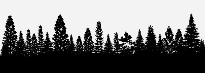 Forest landscape panorama with coniferous trees. Black silhouettes of fir, pine and christmas trees on white background, vector illustration - obrazy, fototapety, plakaty