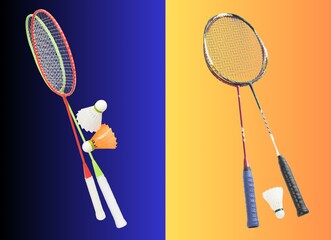 badminton with racket