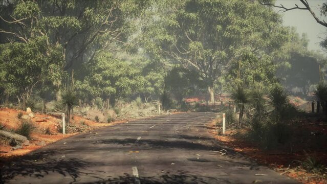 Winding road crossing the savanna