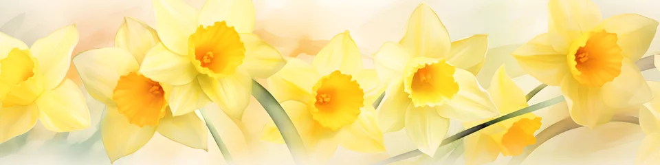 Foto op Canvas watercolour daffodil flowers background banner © sam