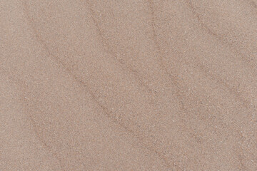 arena playa palmera candás