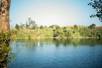 Detail of a stick and a rope tied to a tree to jump into the water in a lake. Sunny summer day.