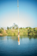 Detail of a stick and a rope tied to a tree to jump into the water in a lake. Sunny summer day.