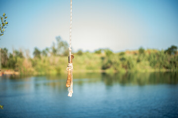 Detail of a stick and a rope tied to a tree to jump into the water in a lake. Sunny summer day.