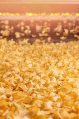 Production line for Potato chips, modern food plant for snacks