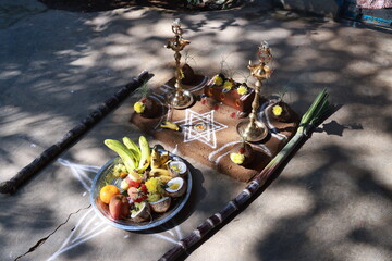 Traditional Thai Pongal festival celebration to sun god with sakkara or sweet pongal, pot, lamp,wood fire stove and sugarcane