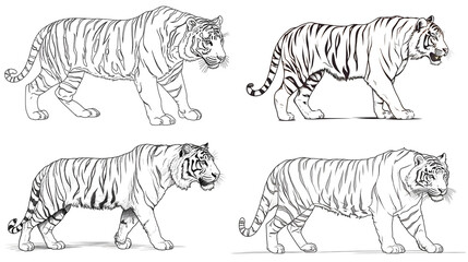 Coloring book page of tiger. Pencil sketches for kids coloring for art projects. Generative AI.