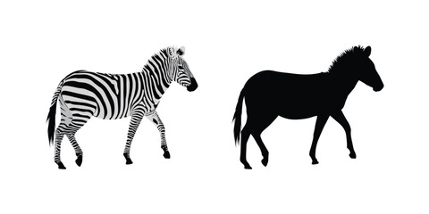 Hand drawn zebra silhouette design