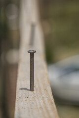 Nails at the construction site of a new house. Staking out walls.