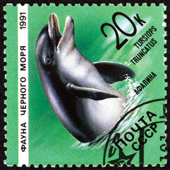 Postage stamp Russia 1991 common bottlenose dolphin, tursiops truncatus, is a wide-ranging marine mammal