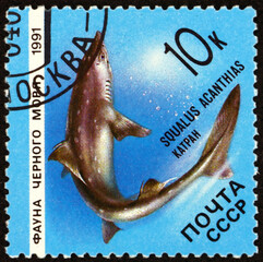 Postage stamp Russia 1991 the spiny dogfish, squalus acanthias, is a small demersal shark