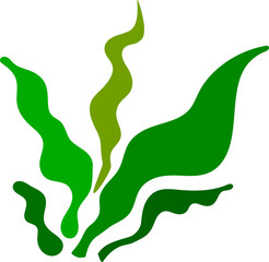 Green seaweed isolated on transparent background, ready for element or retouch design