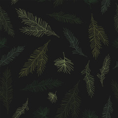 Seamless pattern with fir branches. Vector illustration. Black background