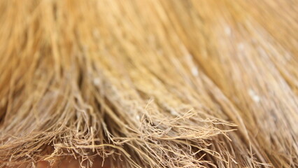 close up of a rice straw