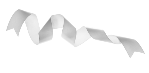 White ribbon fly isolated on white background, clipping path