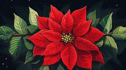a red poinsettia flower is shown in the background,