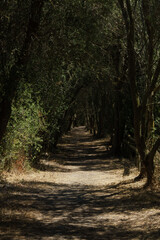 Albufera de Mallorca Natural Park, Muro, Mallorca island, Spain