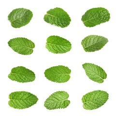 Fresh mint leaves isolated on white, set
