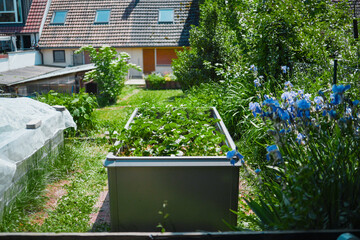 Fototapete bei efototapeten.de bestellen   