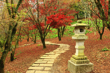 amazing autumn Scenery with red Maple trees and Path in the park