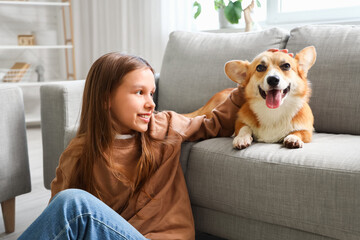 Little girl with cute Corgi dog at home