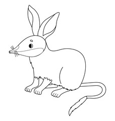 Australian animal bilby. Cute wild mammal. Vector illustration. Linear, outline drawing, coloring book. Kids collection