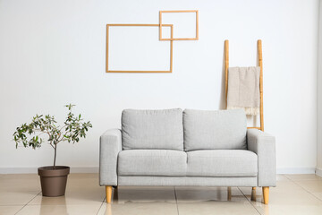 Interior of light living room with grey couch and plant