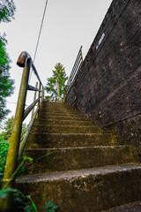 Mossy Stairs in an Abandoned Lost Place