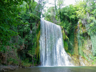 waterfall in the forest © mareguera